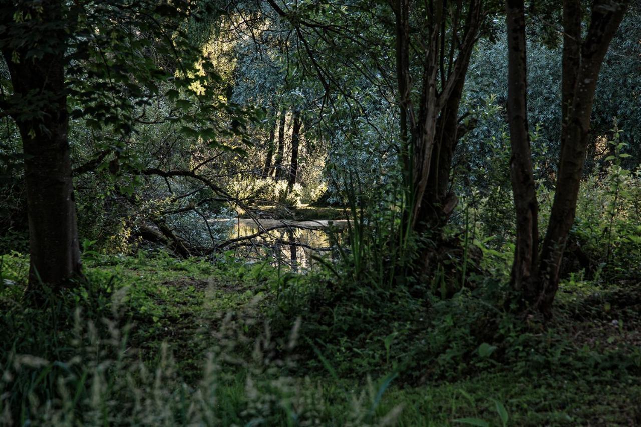 Les Cabanes Des Marais La Madelaine-sous-Montreuil Εξωτερικό φωτογραφία